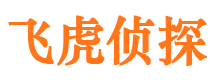 开阳市侦探公司